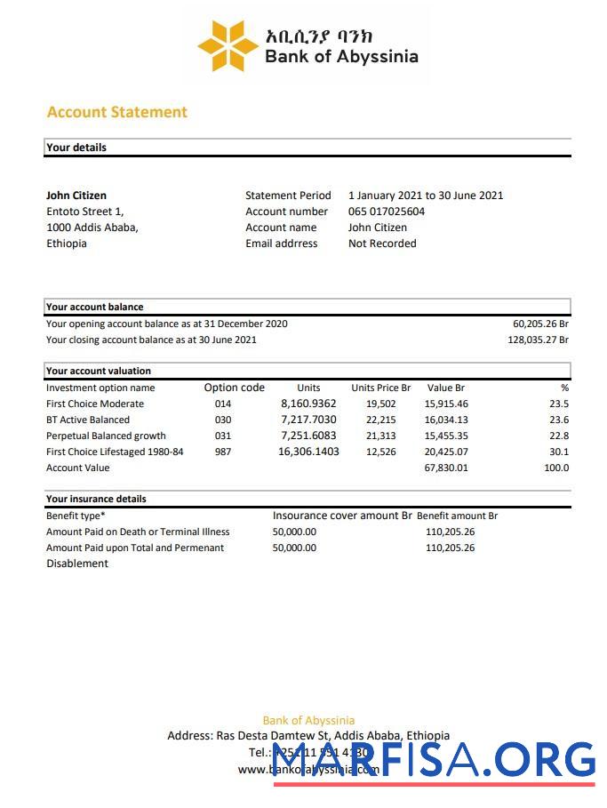Blank Ethiopia Bank of Abyssinia bank statement excel template